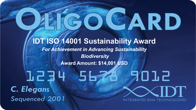 Oligo-Card-custom-graphic——. png