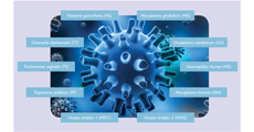 STI-Multiplex-Array.gif